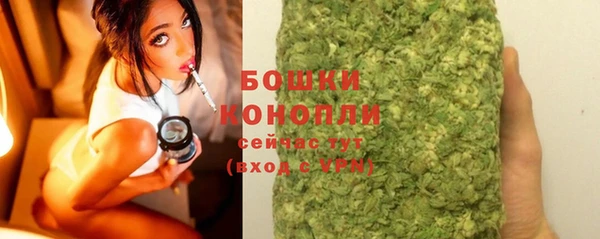гидропоника Бородино