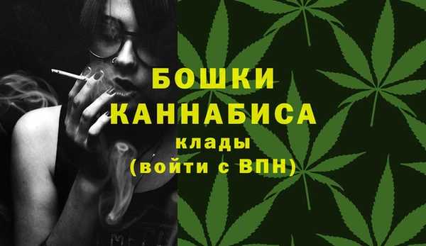 дживик Богородск