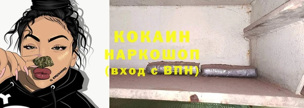 дживик Богородск