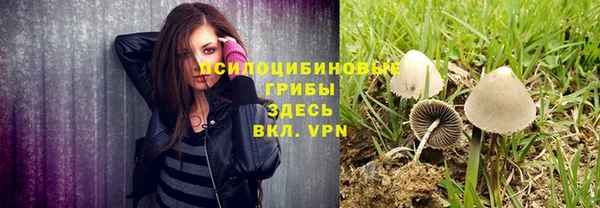 apvp Богородицк