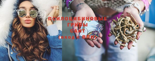 apvp Богородицк