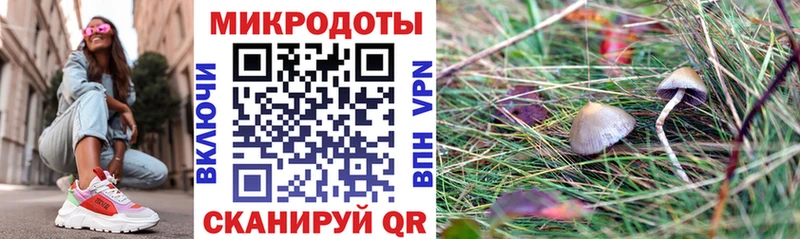 Псилоцибиновые грибы Psilocybine cubensis  купить наркоту  Юхнов 